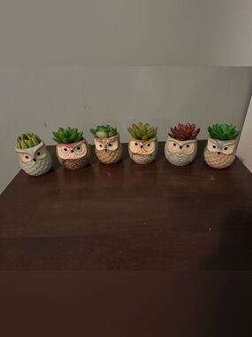 Ceramic Bonasi Pots